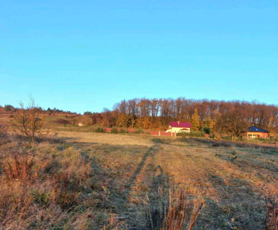 Продается земельный участок 20 соток в Львовской области, цена: 10000 $ - фото 1