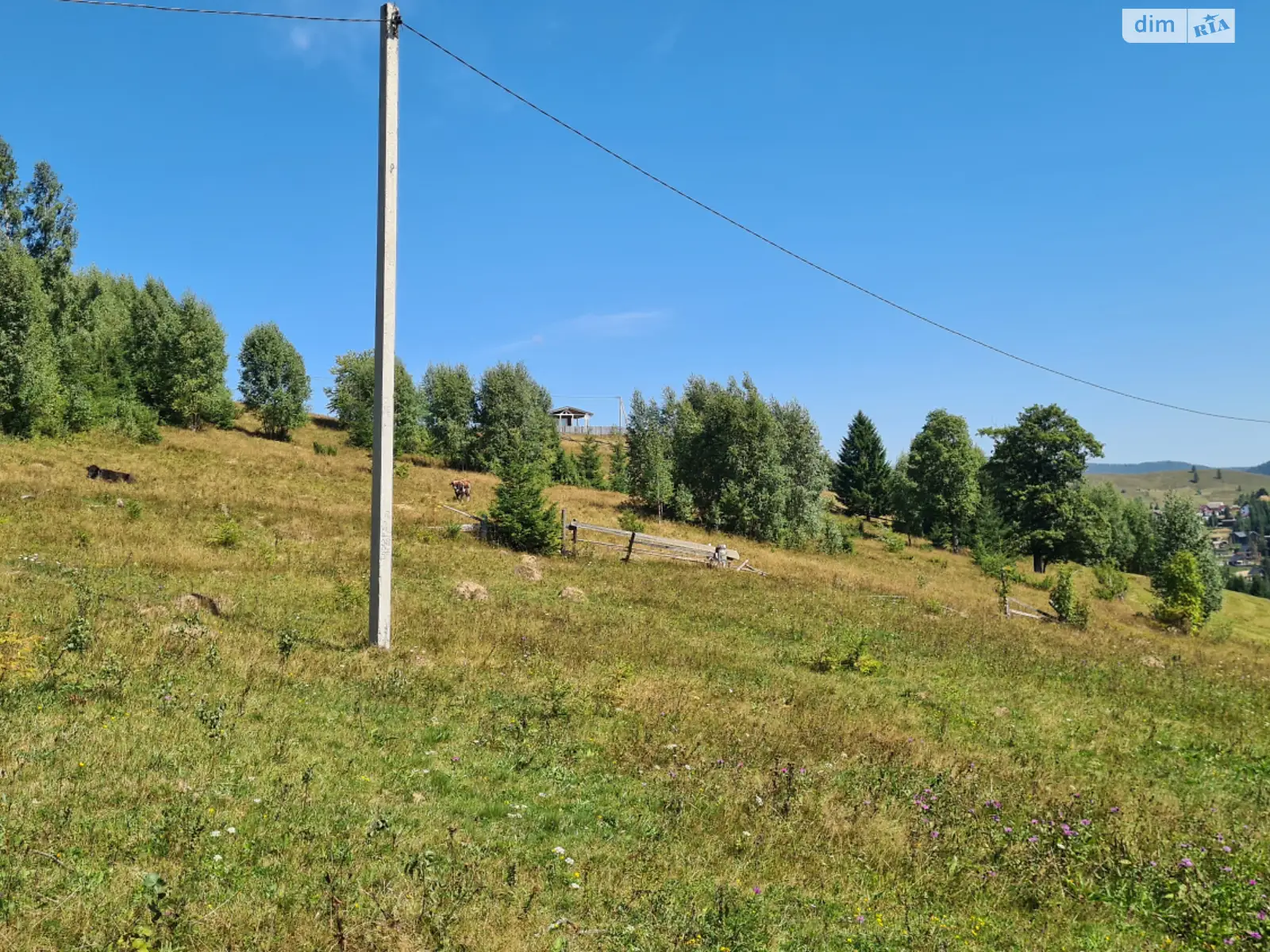 Продается земельный участок 24 соток в Ивано-Франковской области - фото 2
