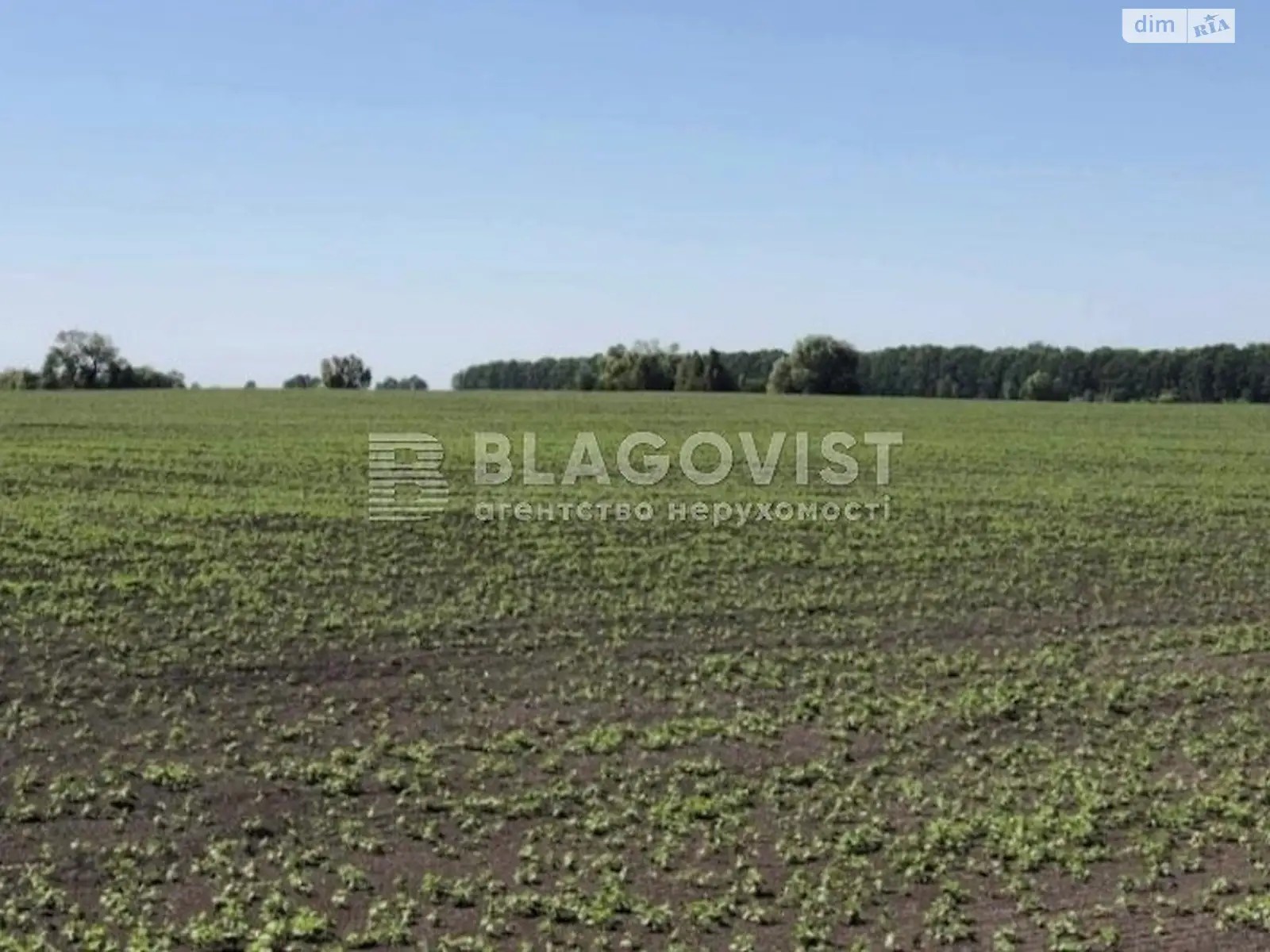 Продається земельна ділянка 10 соток у Київській області - фото 3