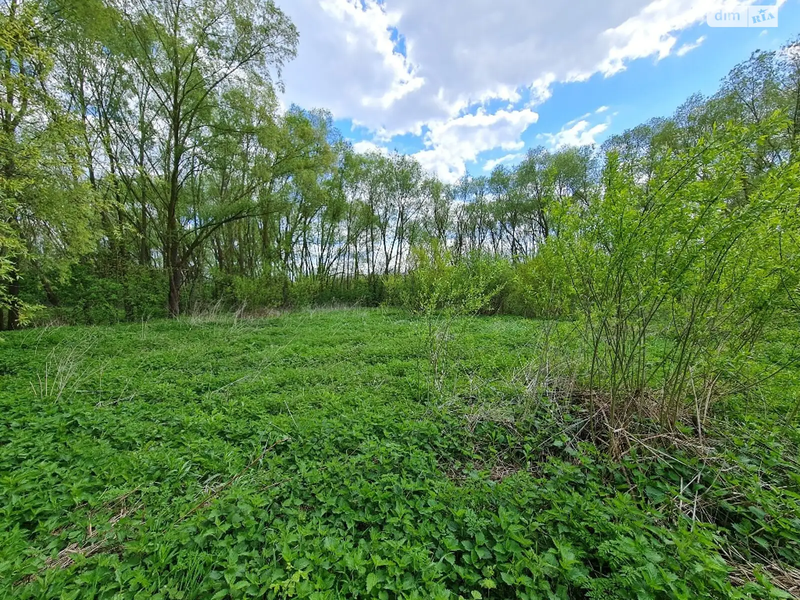 Продается земельный участок 6 соток в Хмельницкой области, цена: 3000 $