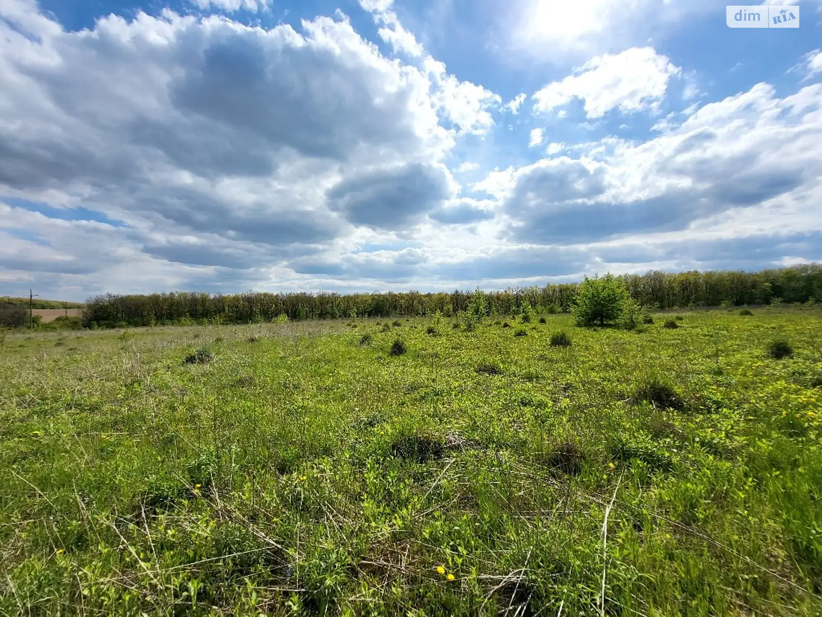 Продається земельна ділянка 10 соток у Вінницькій області, цена: 12000 $