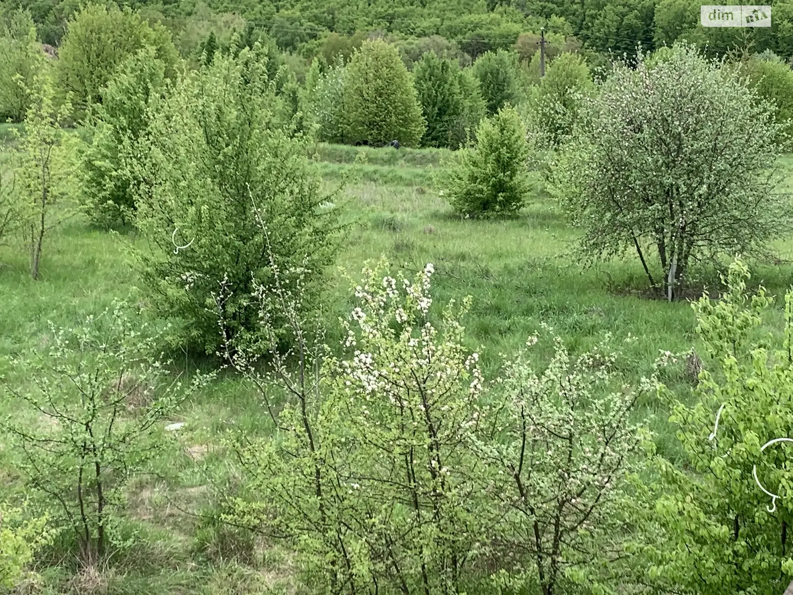 Продается земельный участок 56 соток в Винницкой области - фото 3