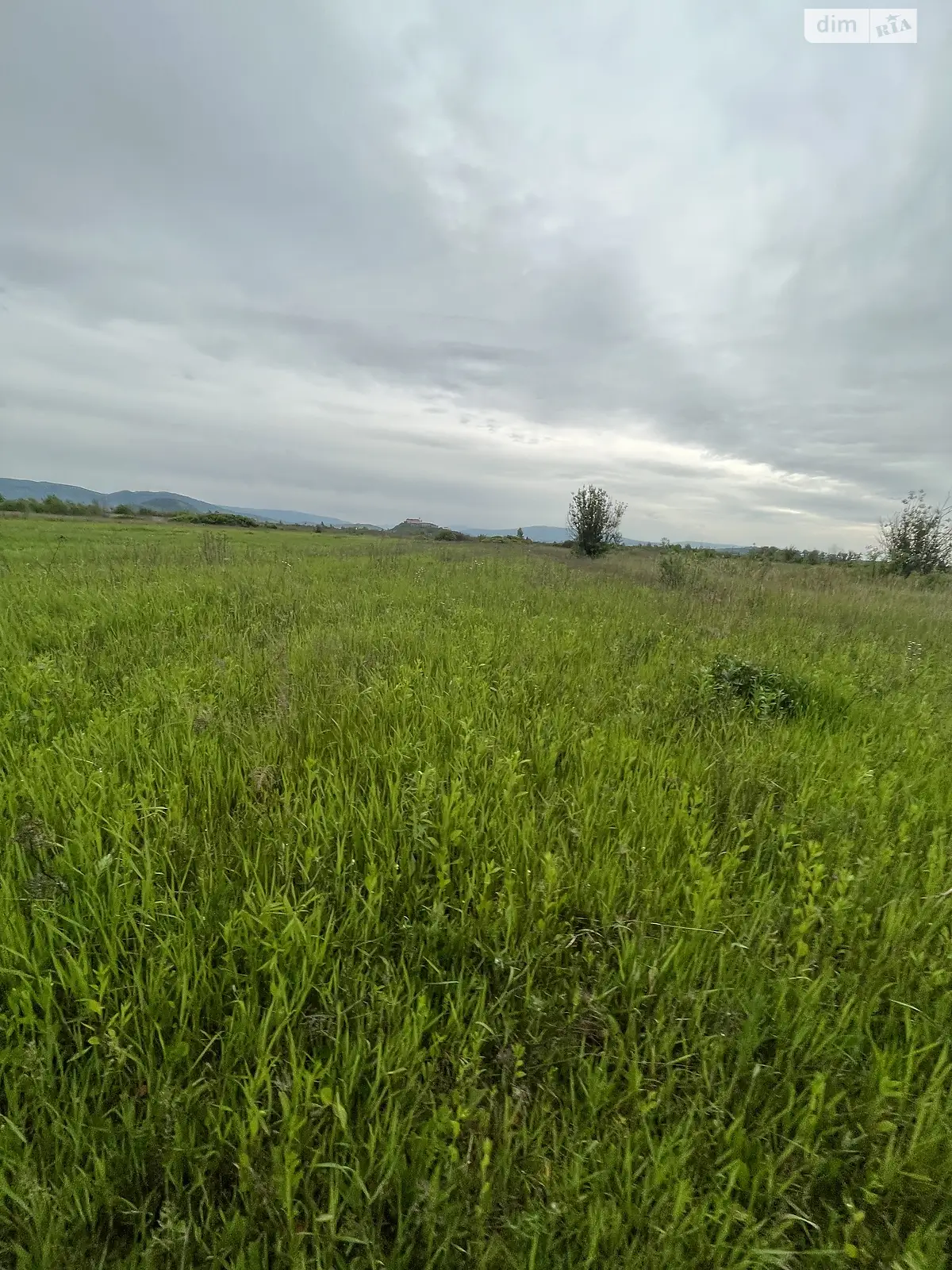 Продается земельный участок 17 соток в Закарпатской области - фото 3