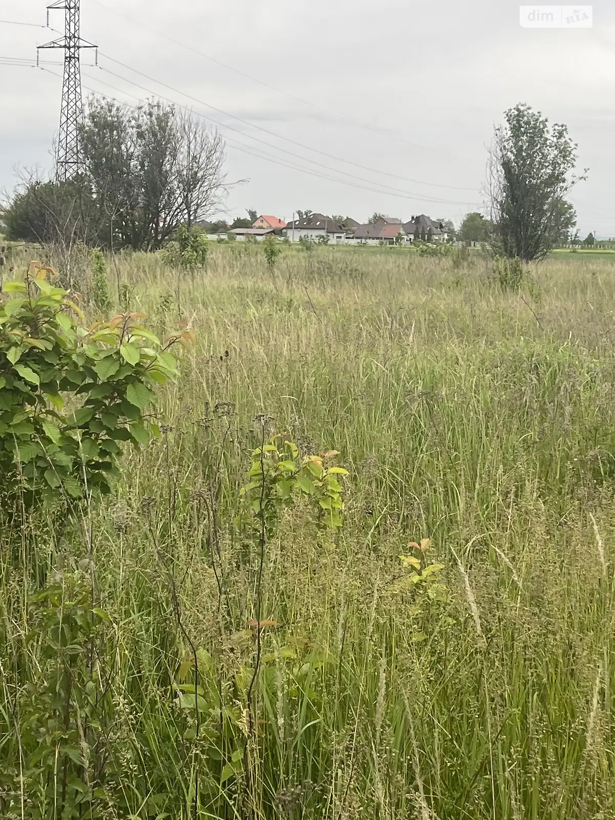 Продается земельный участок 17 соток в Закарпатской области - фото 4
