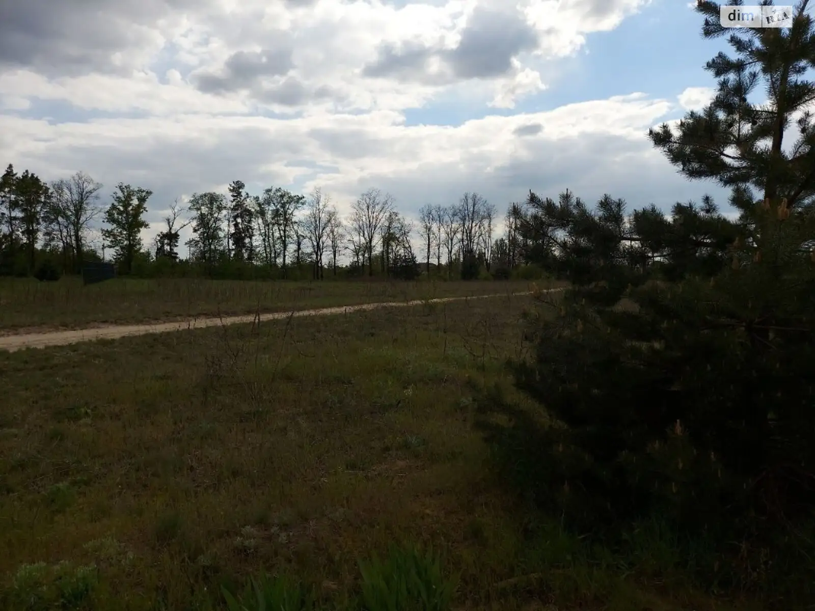 Продается земельный участок 25 соток в Житомирской области - фото 3