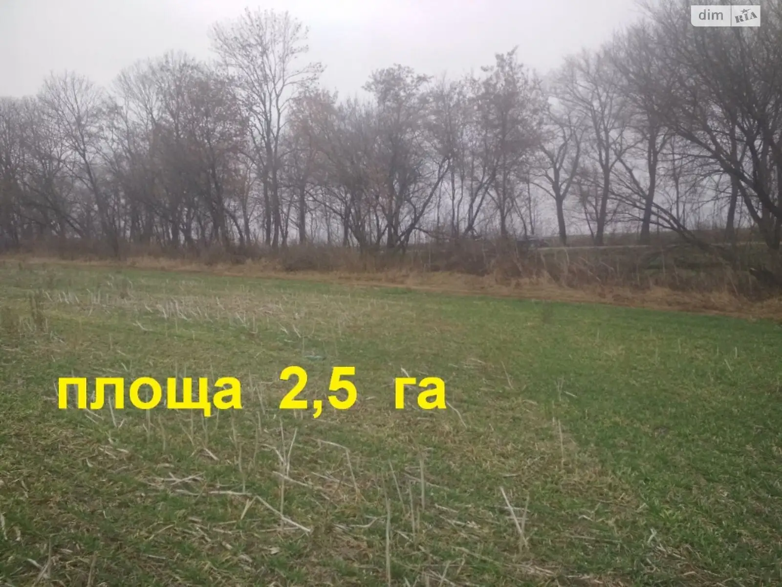Продается земельный участок 250 соток в Тернопольской области - фото 2