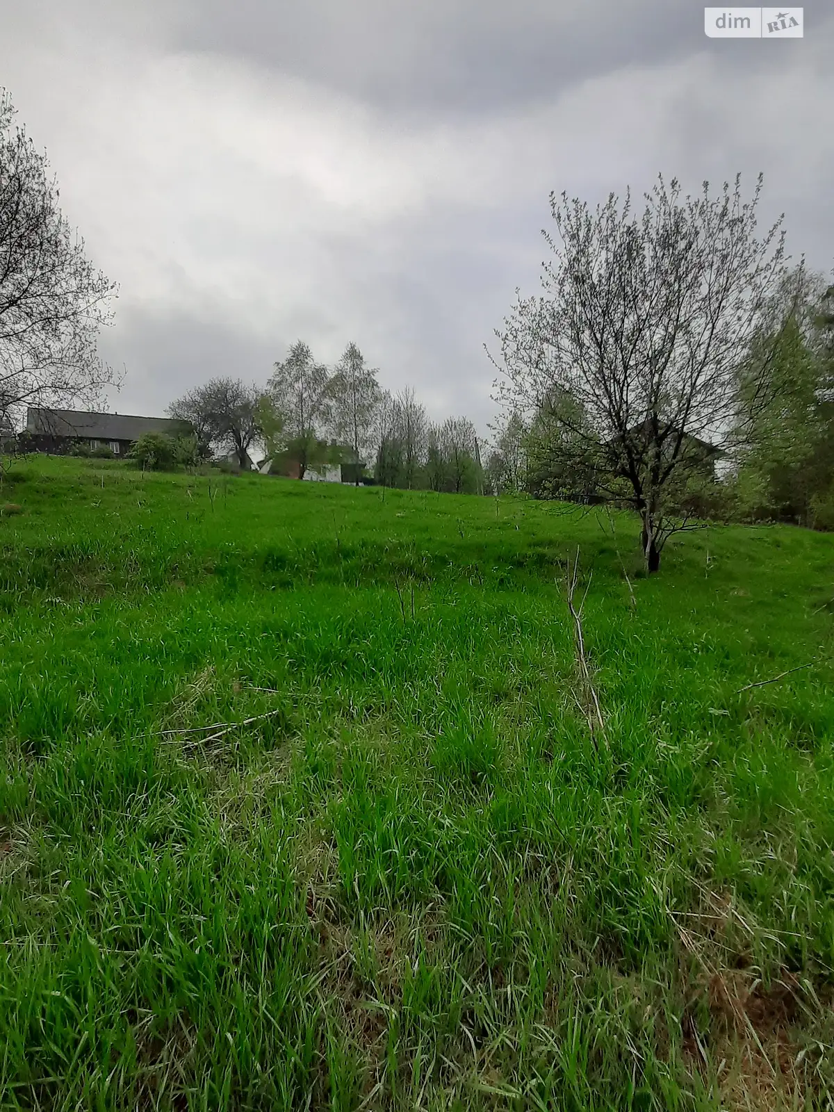 Продается земельный участок 57 соток в Львовской области - фото 2