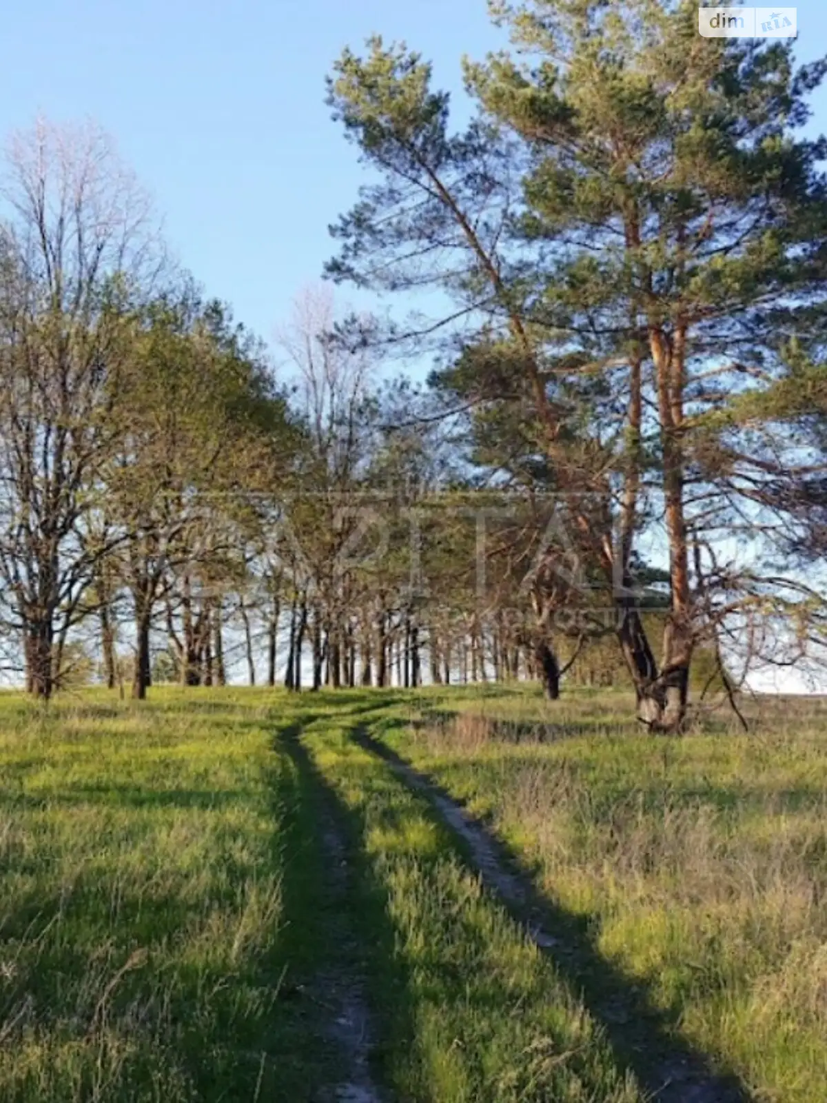 Продається земельна ділянка 1762 соток у Київській області, цена: 1409600 $