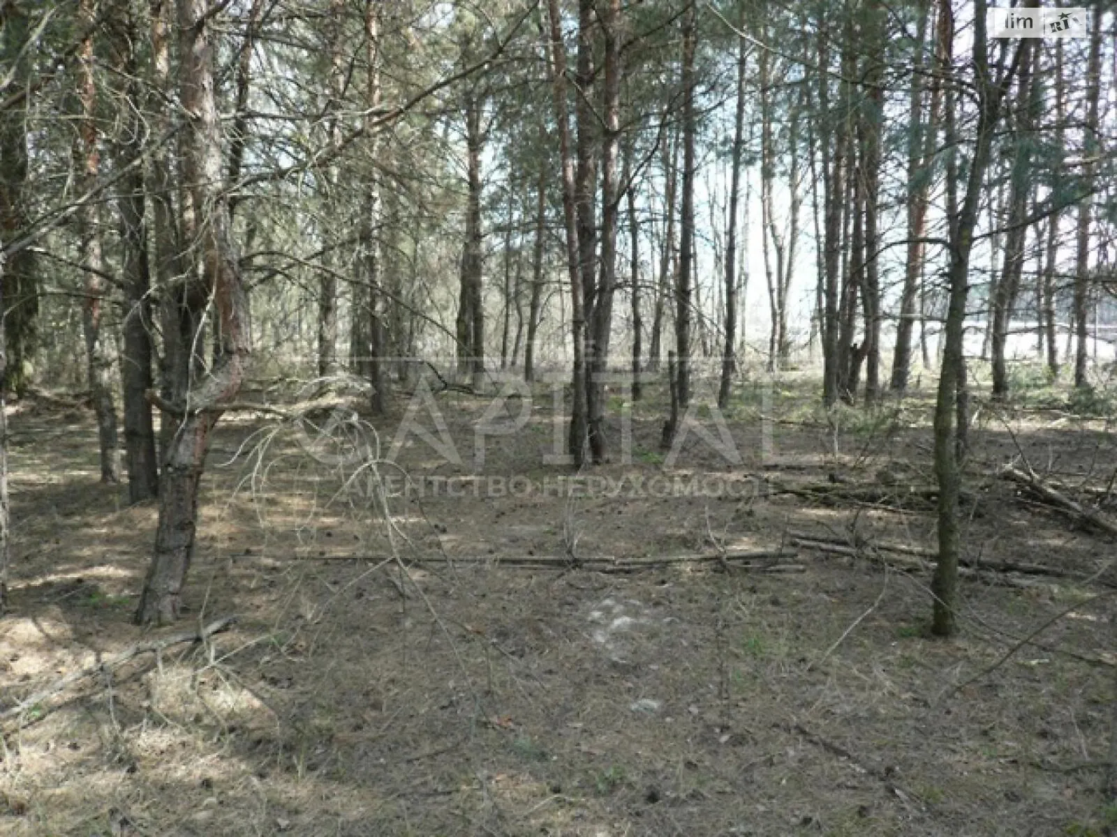 Продается земельный участок 100 соток в Киевской области, цена: 600000 $