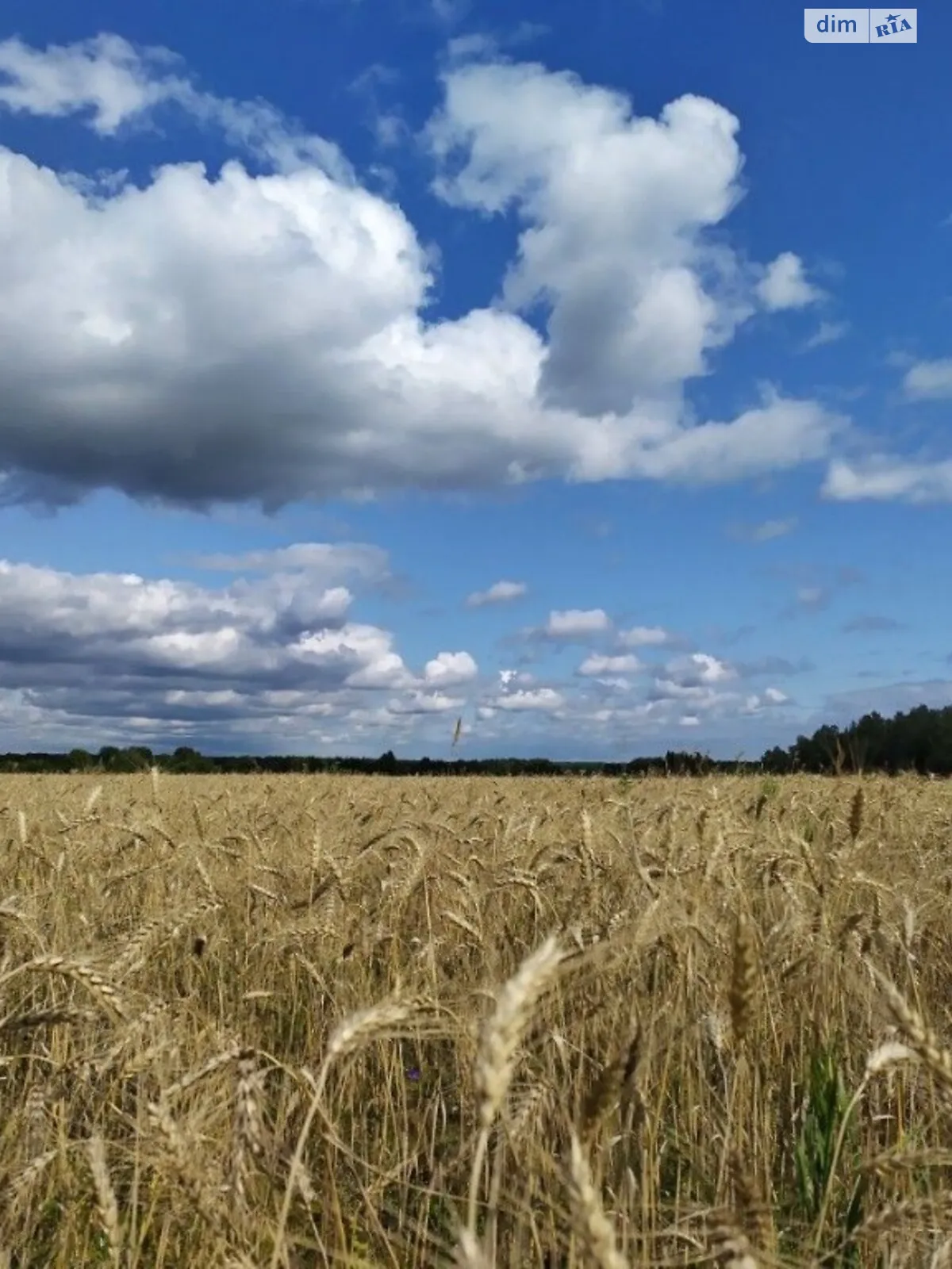 Продається земельна ділянка 4.12 соток у Вінницькій області, цена: 120000 $ - фото 1