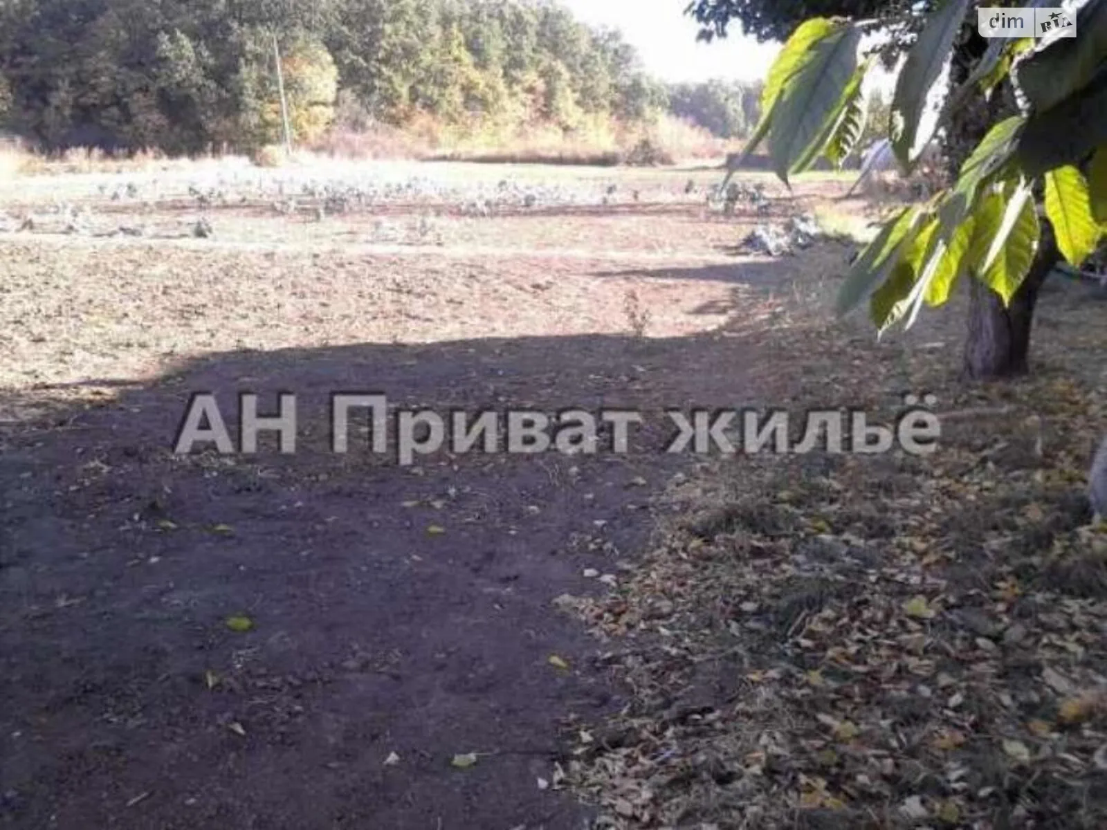 Продается земельный участок 56 соток в Полтавской области - фото 2