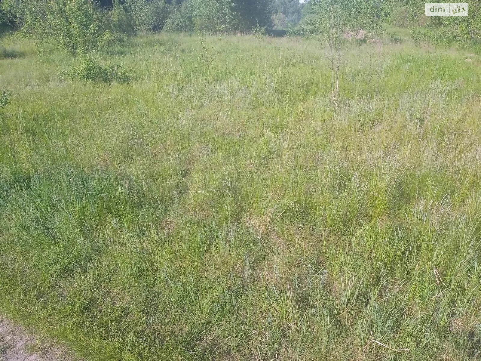 Продается земельный участок 150 соток в Закарпатской области - фото 2