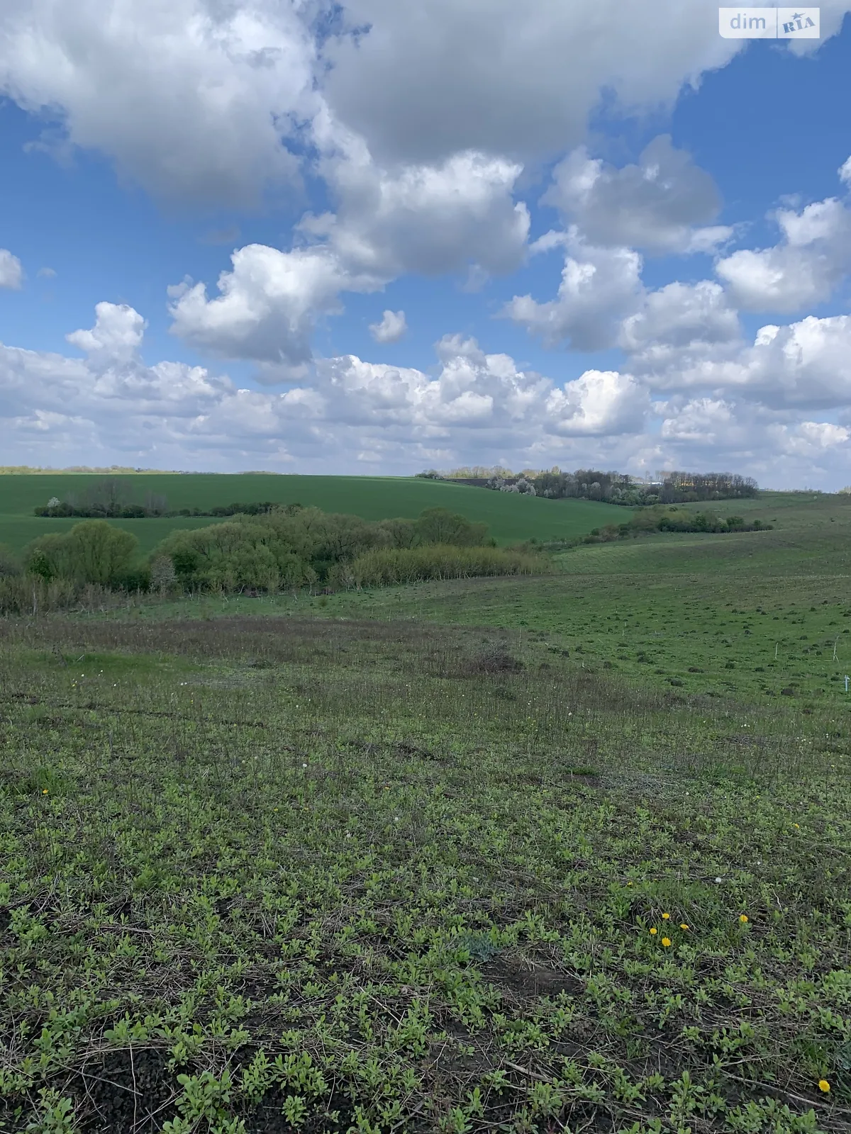 Продается земельный участок 1 соток в Хмельницкой области - фото 3