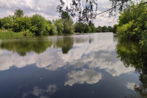 Недвижимость Украины