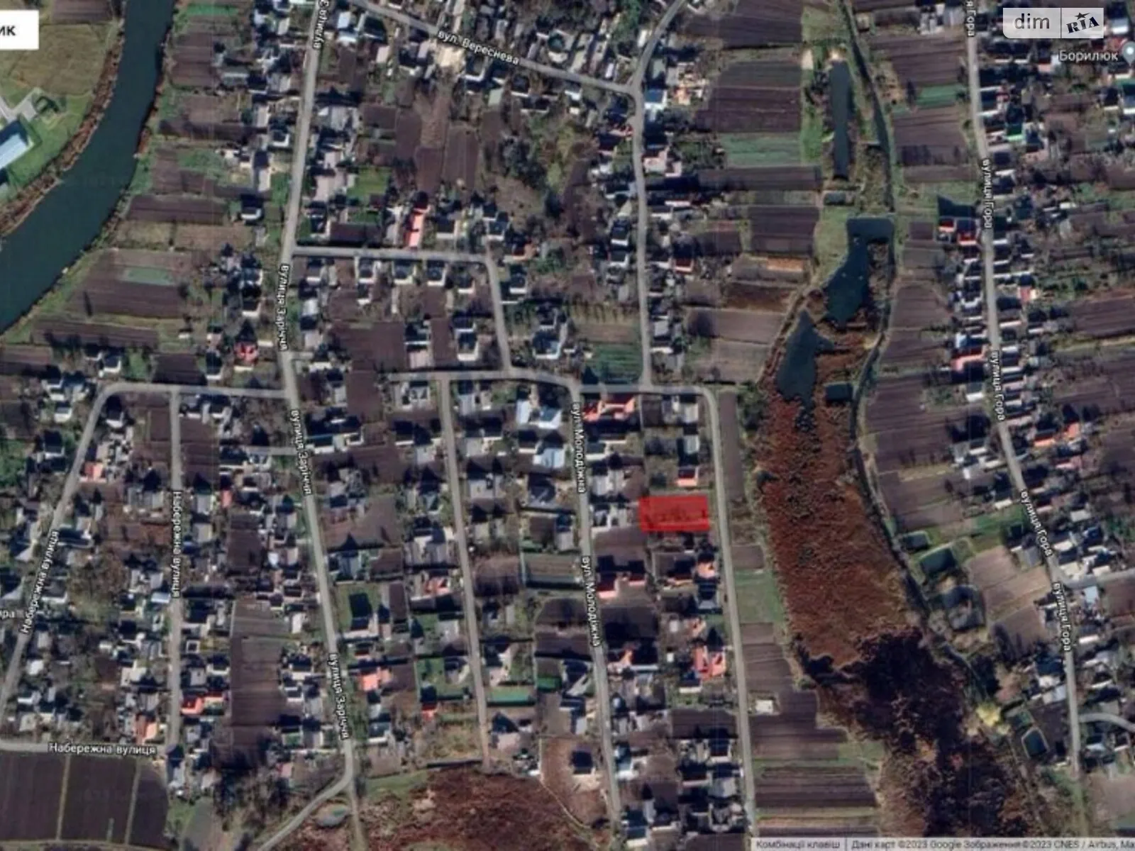 Продается земельный участок 1195 соток в Ровенской области - фото 2