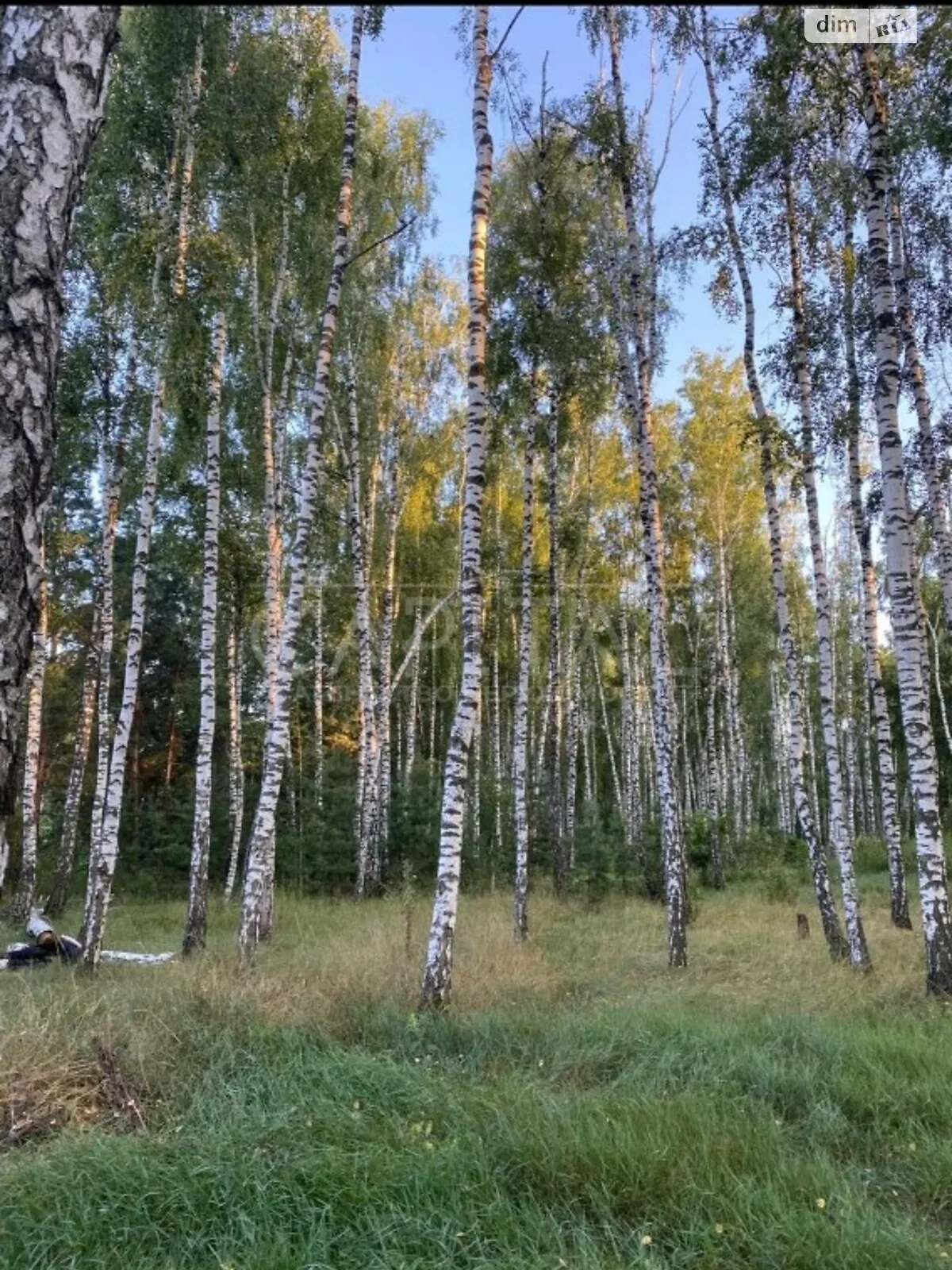 Продається земельна ділянка 330 соток у Київській області, цена: 160000 $