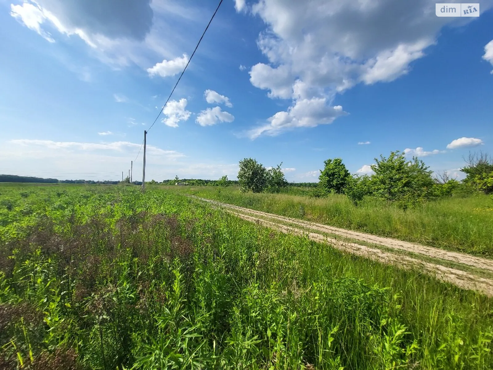 Продается земельный участок 15 соток в Винницкой области, цена: 20000 $ - фото 1