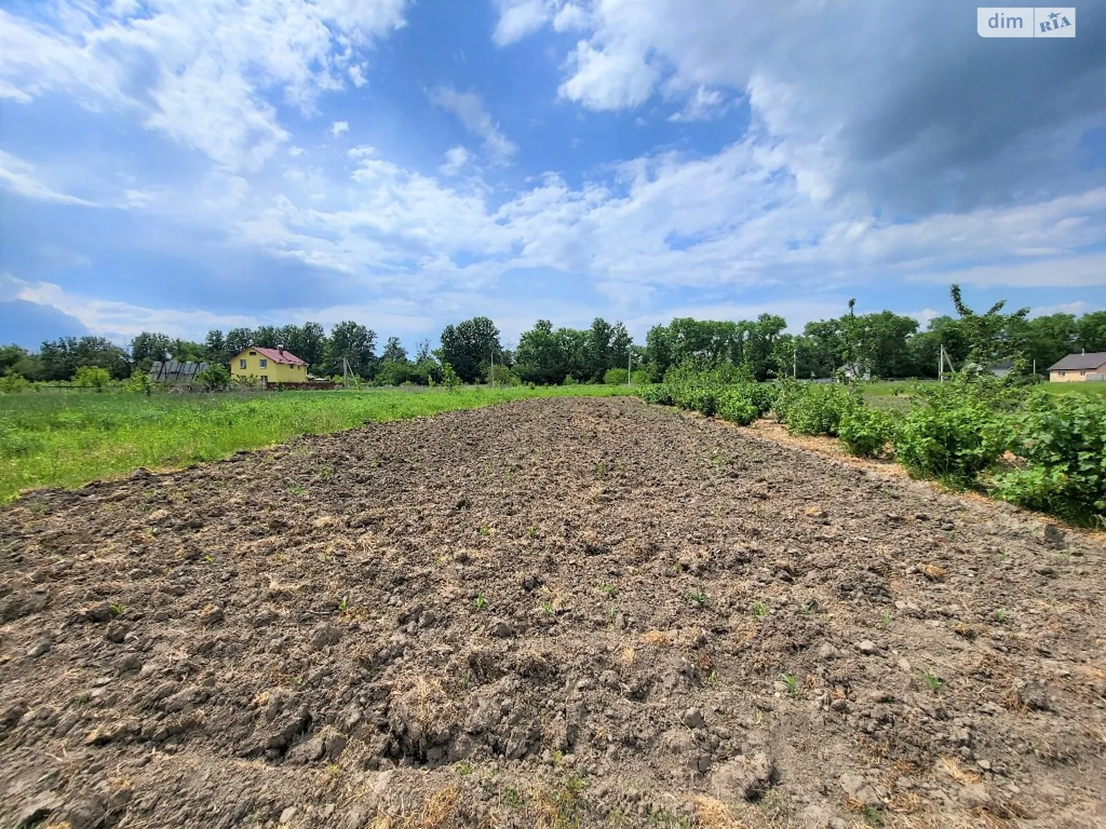 Продається земельна ділянка 6 соток у Вінницькій області - фото 3