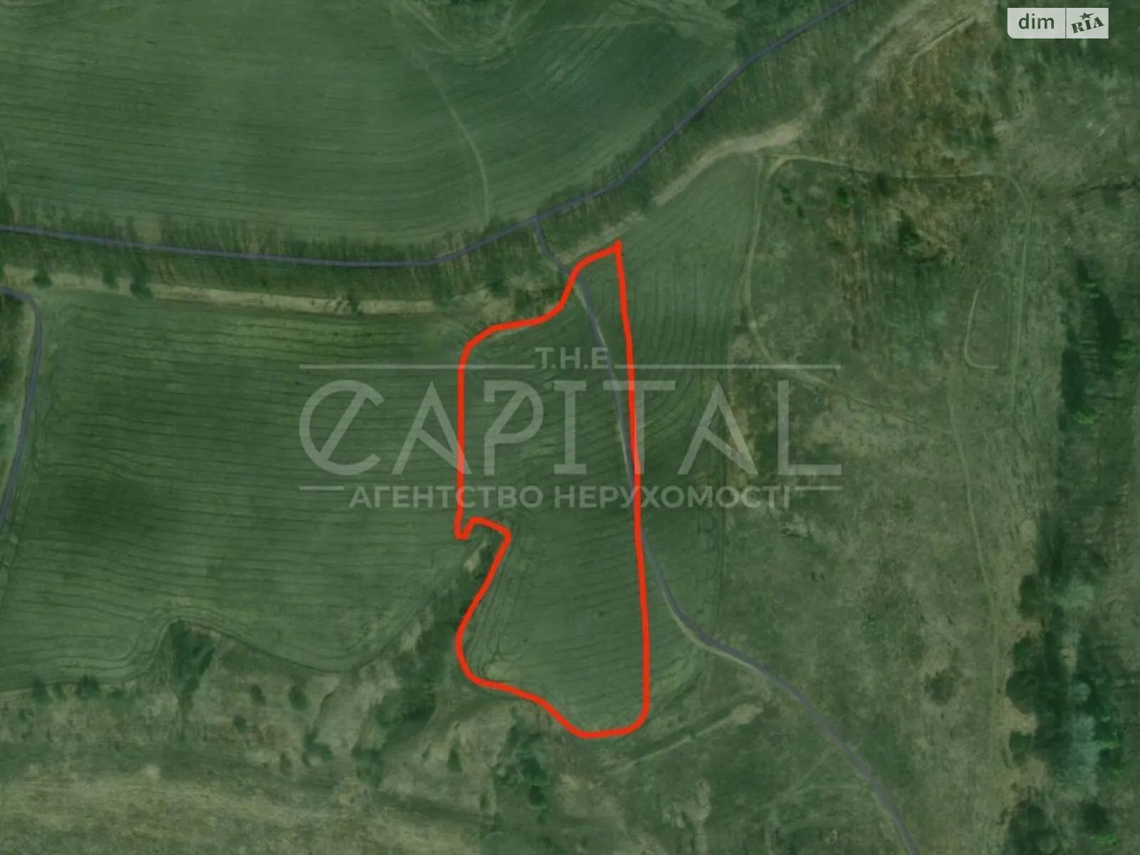 Продается земельный участок 263 соток в Киевской области - фото 2