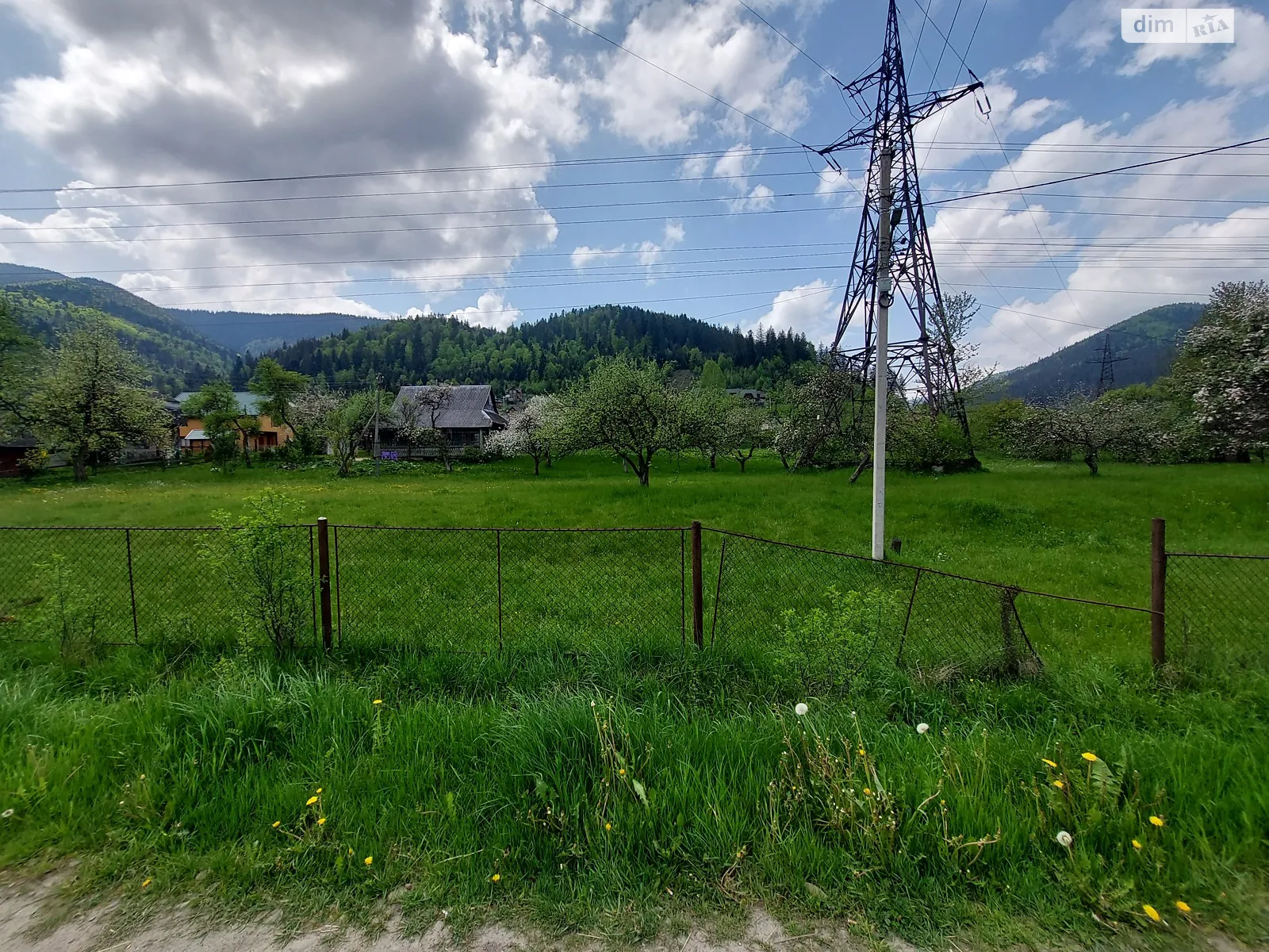 Продается земельный участок 65.5 соток в Ивано-Франковской области - фото 2