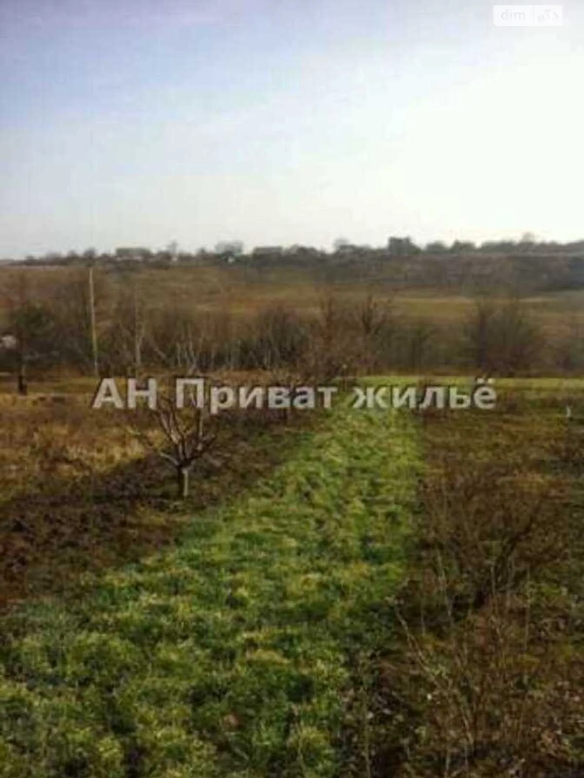 Продается земельный участок 32 соток в Полтавской области - фото 2