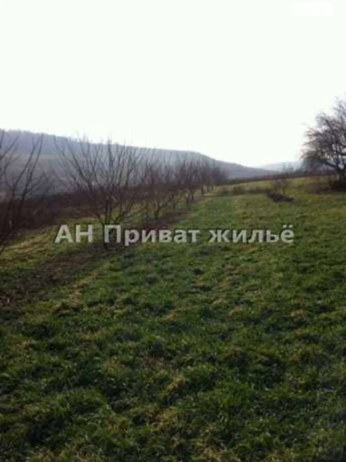 Продается земельный участок 32 соток в Полтавской области - фото 3