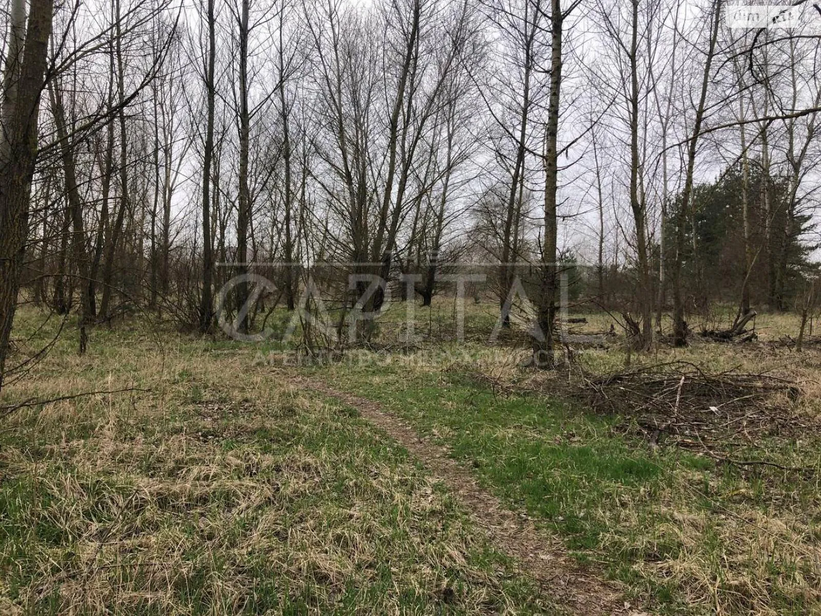 Продается земельный участок 12 соток в Киевской области, цена: 45000 $
