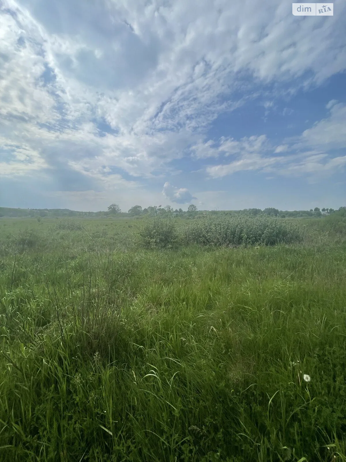 Продается земельный участок 111.8 соток в Львовской области - фото 3