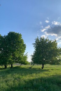 Куплю недвижимость в Шепетовке