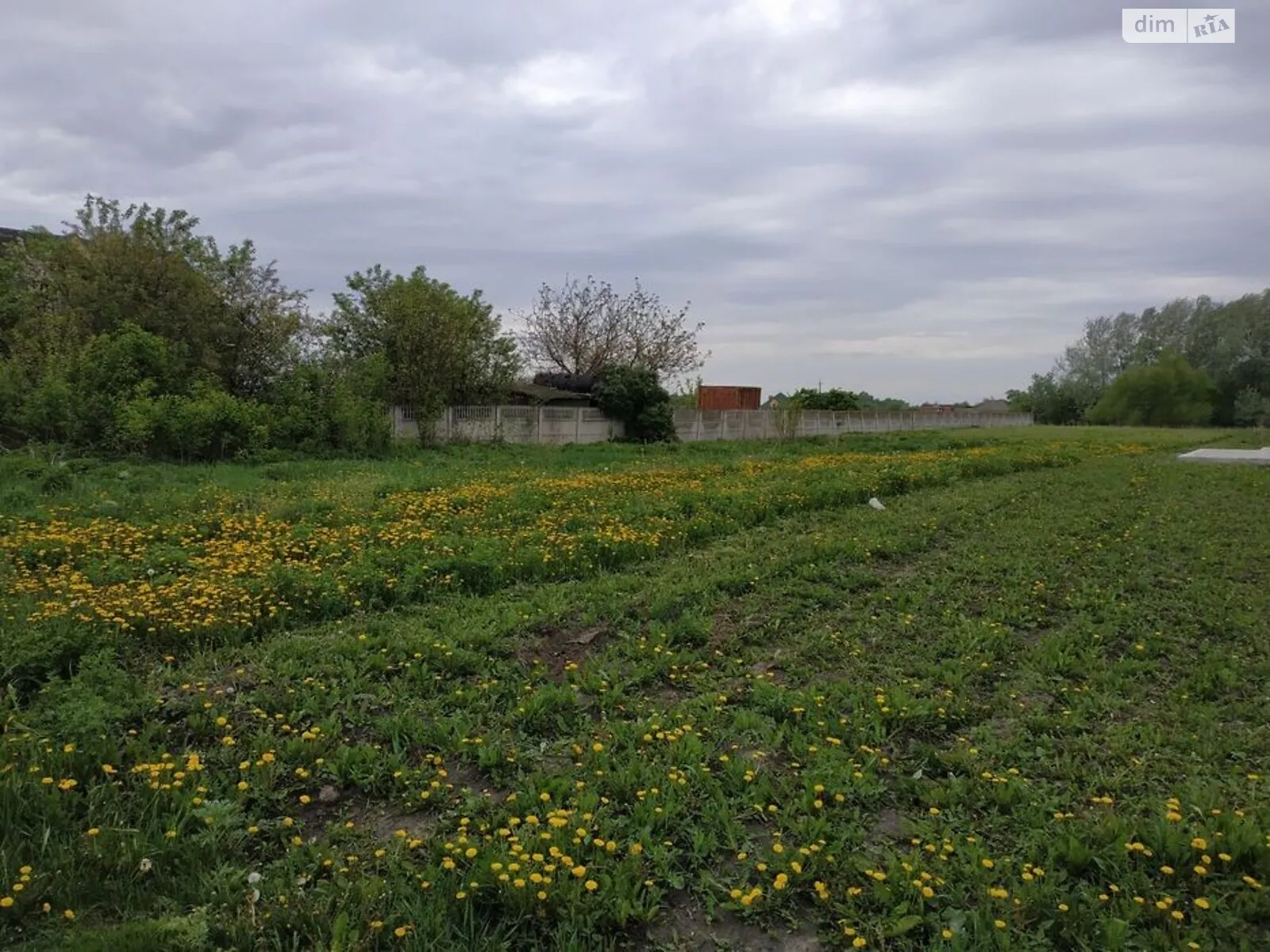 Продается земельный участок 18 соток в Киевской области - фото 2