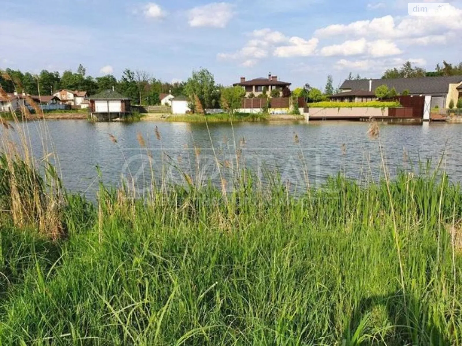 Продается земельный участок 250 соток в Киевской области - фото 3