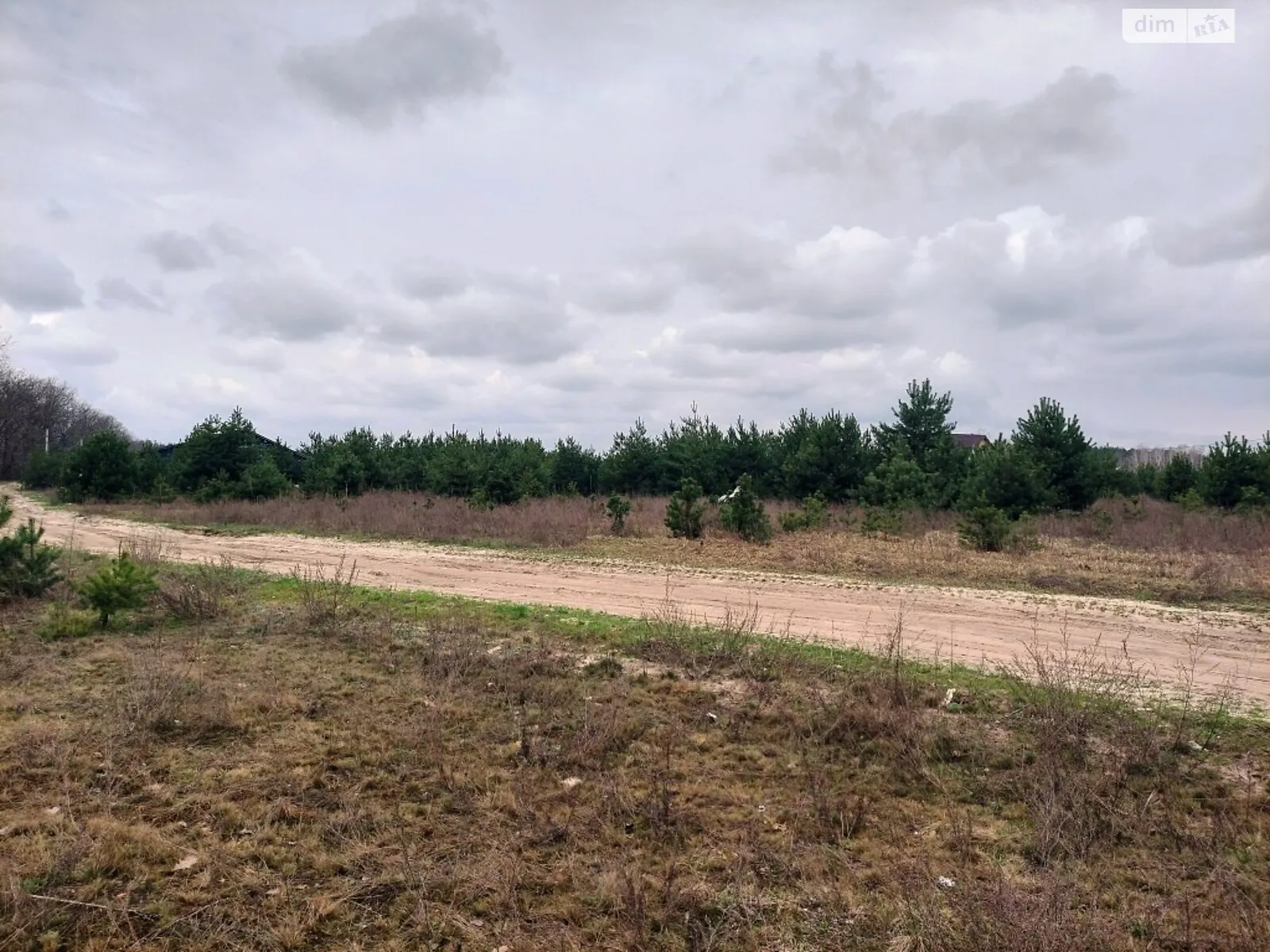 Продается земельный участок 25 соток в Житомирской области - фото 3