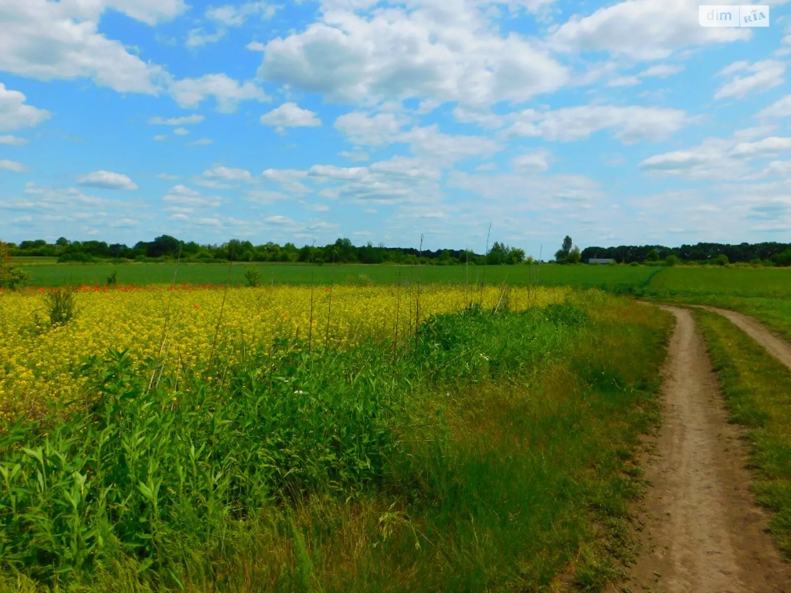 Продається земельна ділянка 8 соток у Вінницькій області, цена: 12000 $