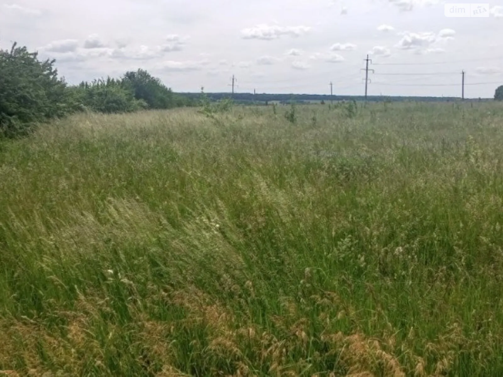 Продается земельный участок 213 соток в Винницкой области - фото 3