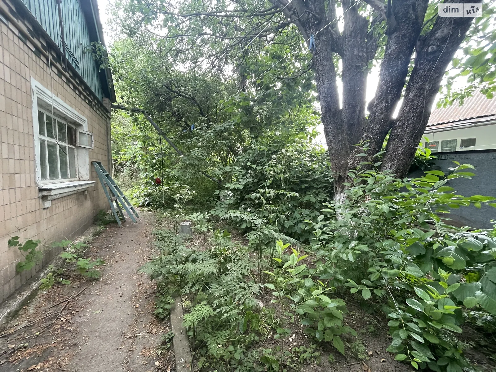 Продается одноэтажный дом 50 кв. м с садом - фото 2