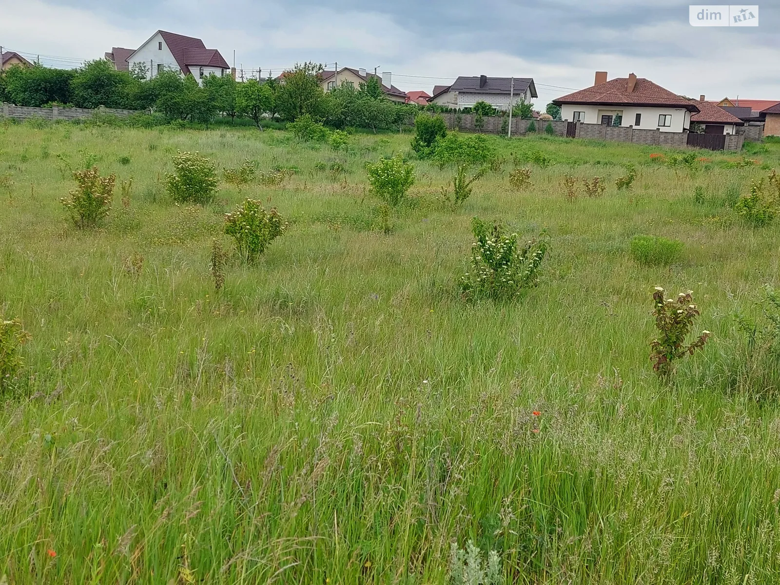 Продается земельный участок 17 соток в Ровенской области - фото 3