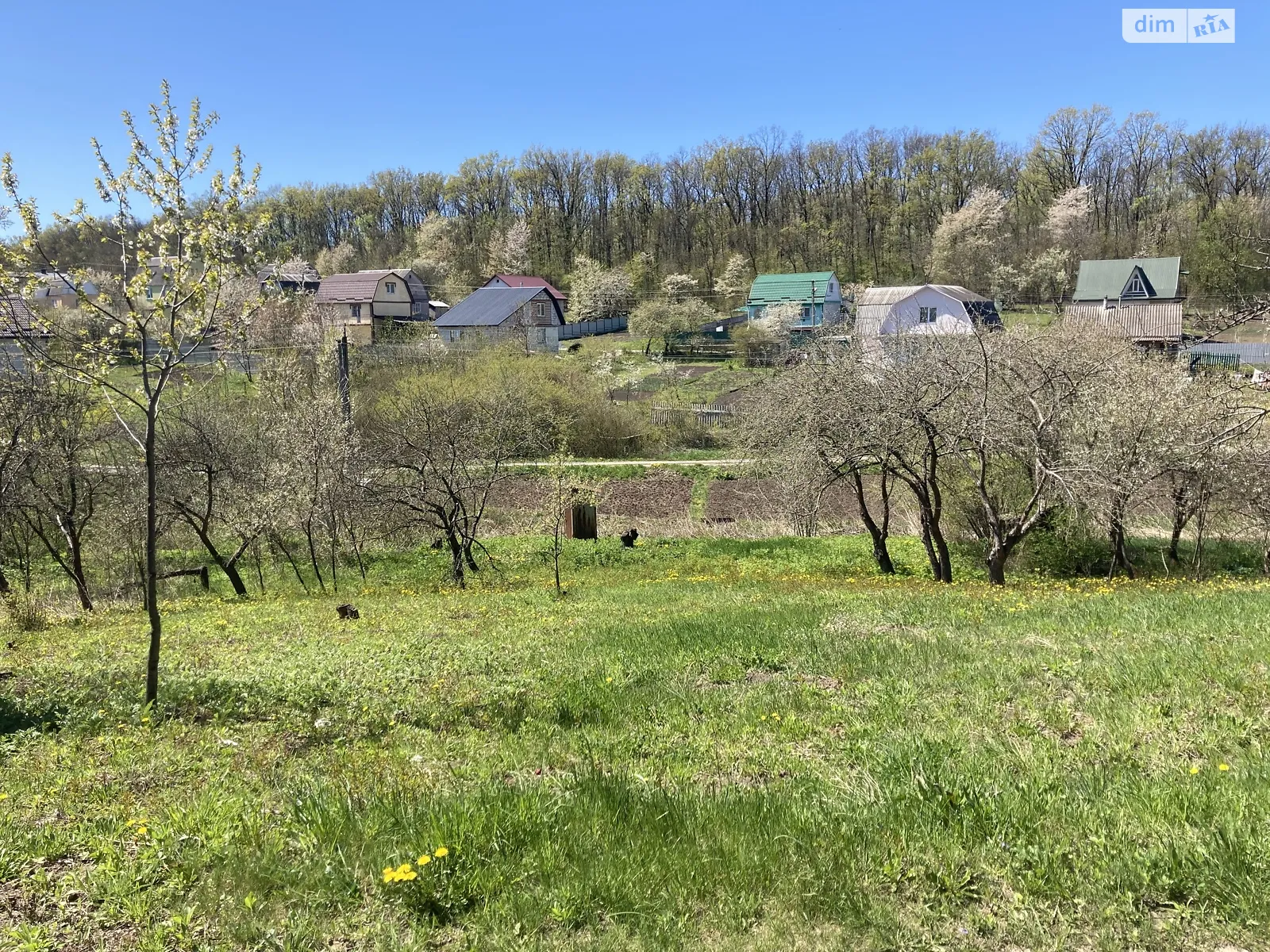 Продается земельный участок 8 соток в Хмельницкой области, цена: 5000 $ - фото 1