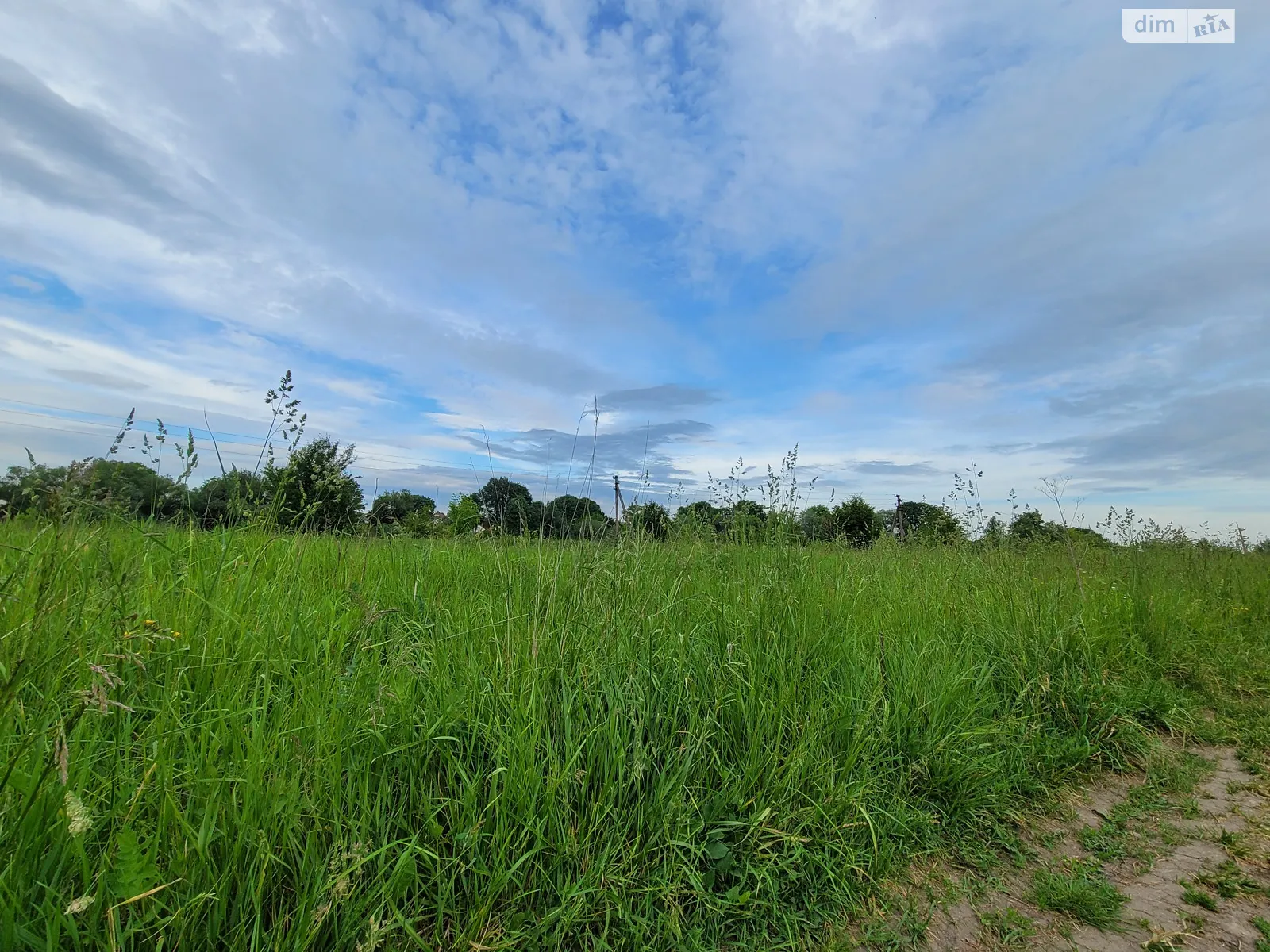 Продается земельный участок 20 соток в Тернопольской области - фото 4