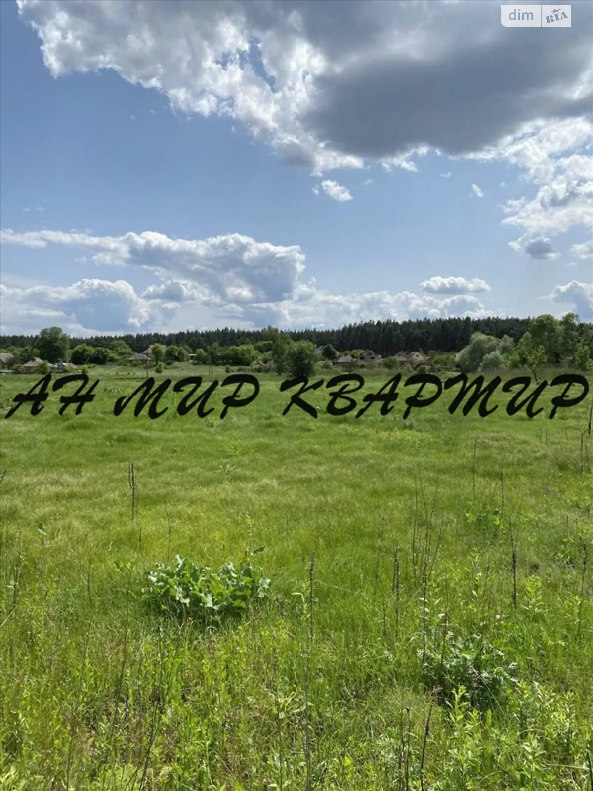 Продается земельный участок 12 соток в Полтавской области - фото 2