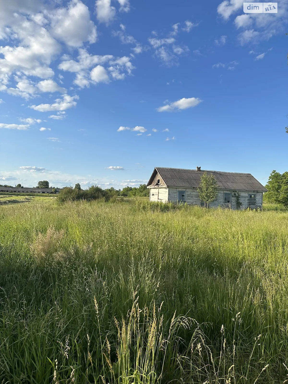 Київська Дедовичи (Новоград-Волынский)   - фото 3