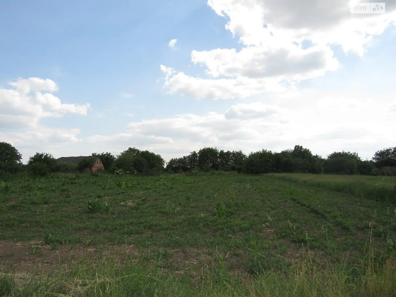 Продається земельна ділянка 25 соток у Вінницькій області - фото 2