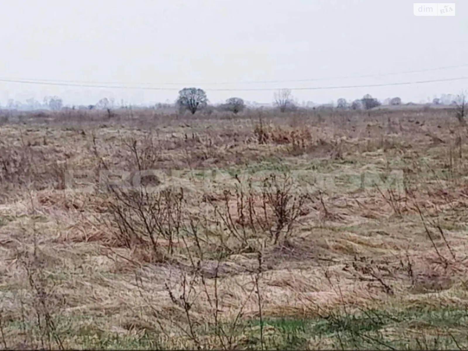 Продается земельный участок 26 соток в Киевской области - фото 3
