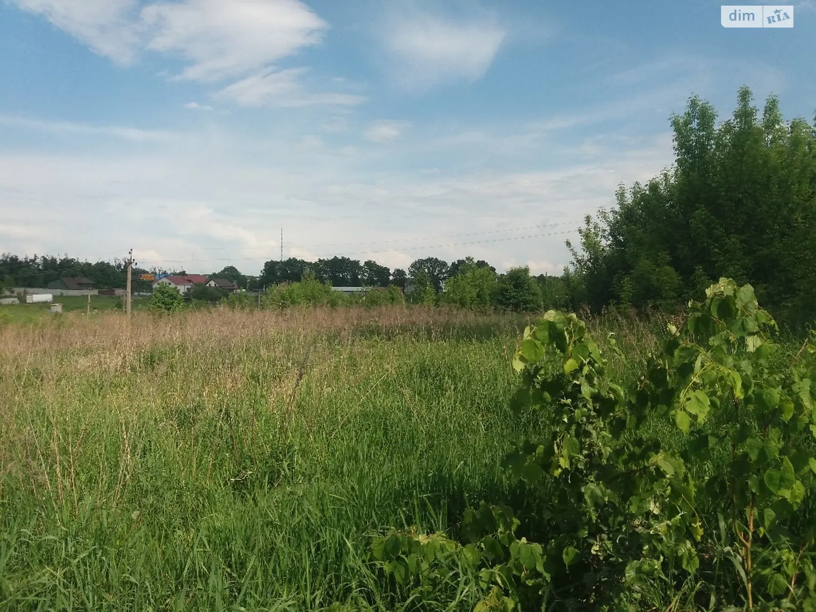 Продается земельный участок 45 соток в Винницкой области - фото 3