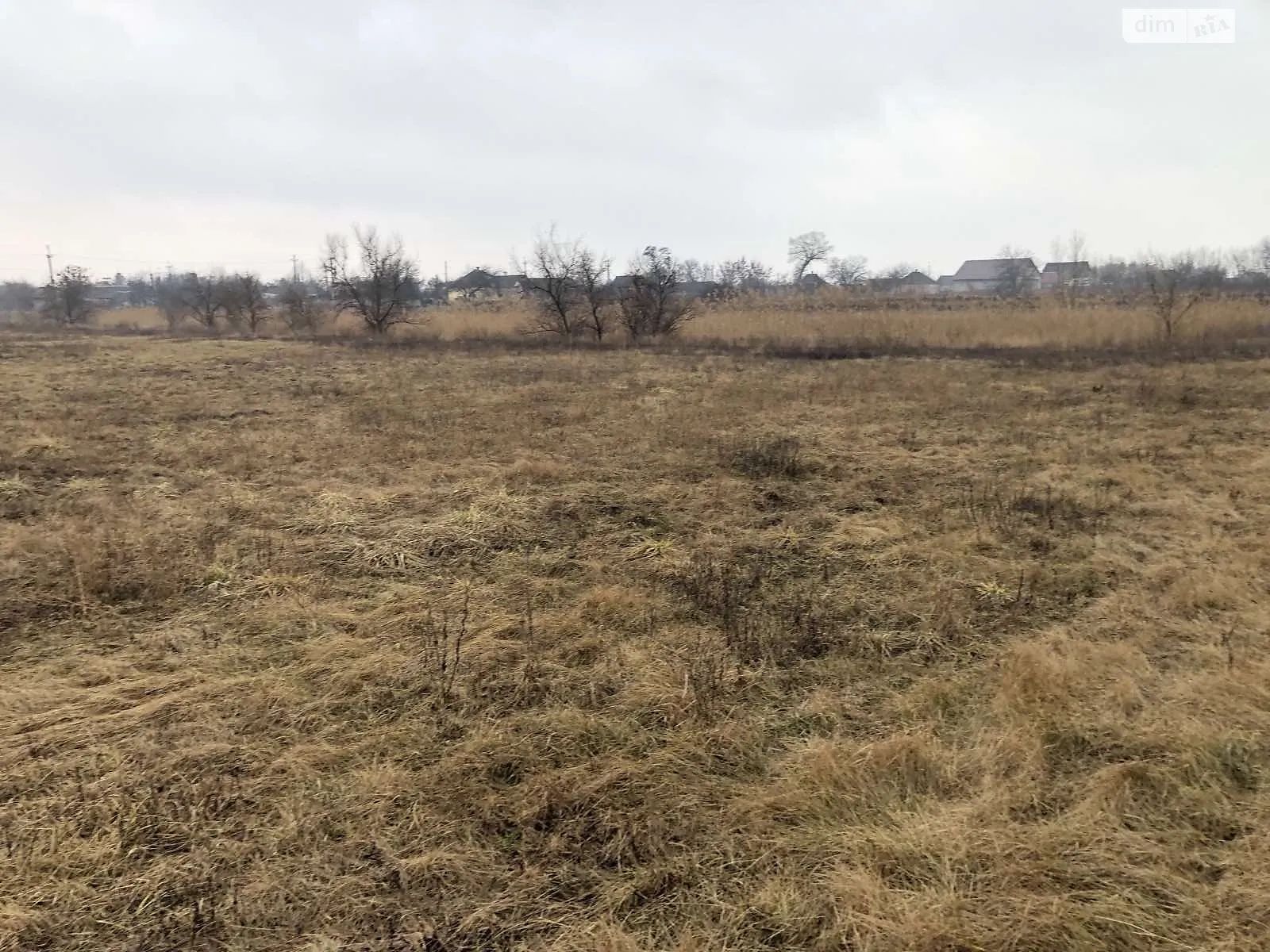 Продается земельный участок 180 соток в Днепропетровской области - фото 3