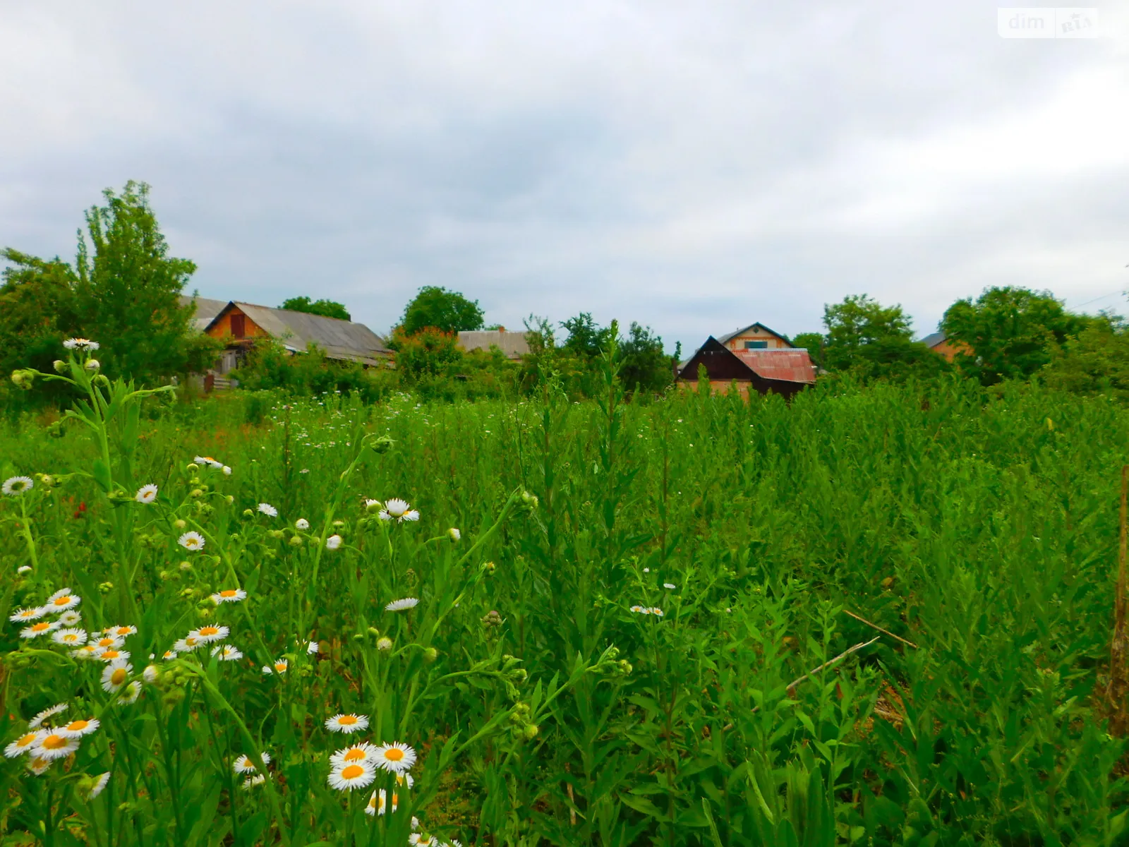 Продается земельный участок 10 соток в Винницкой области, цена: 30000 $