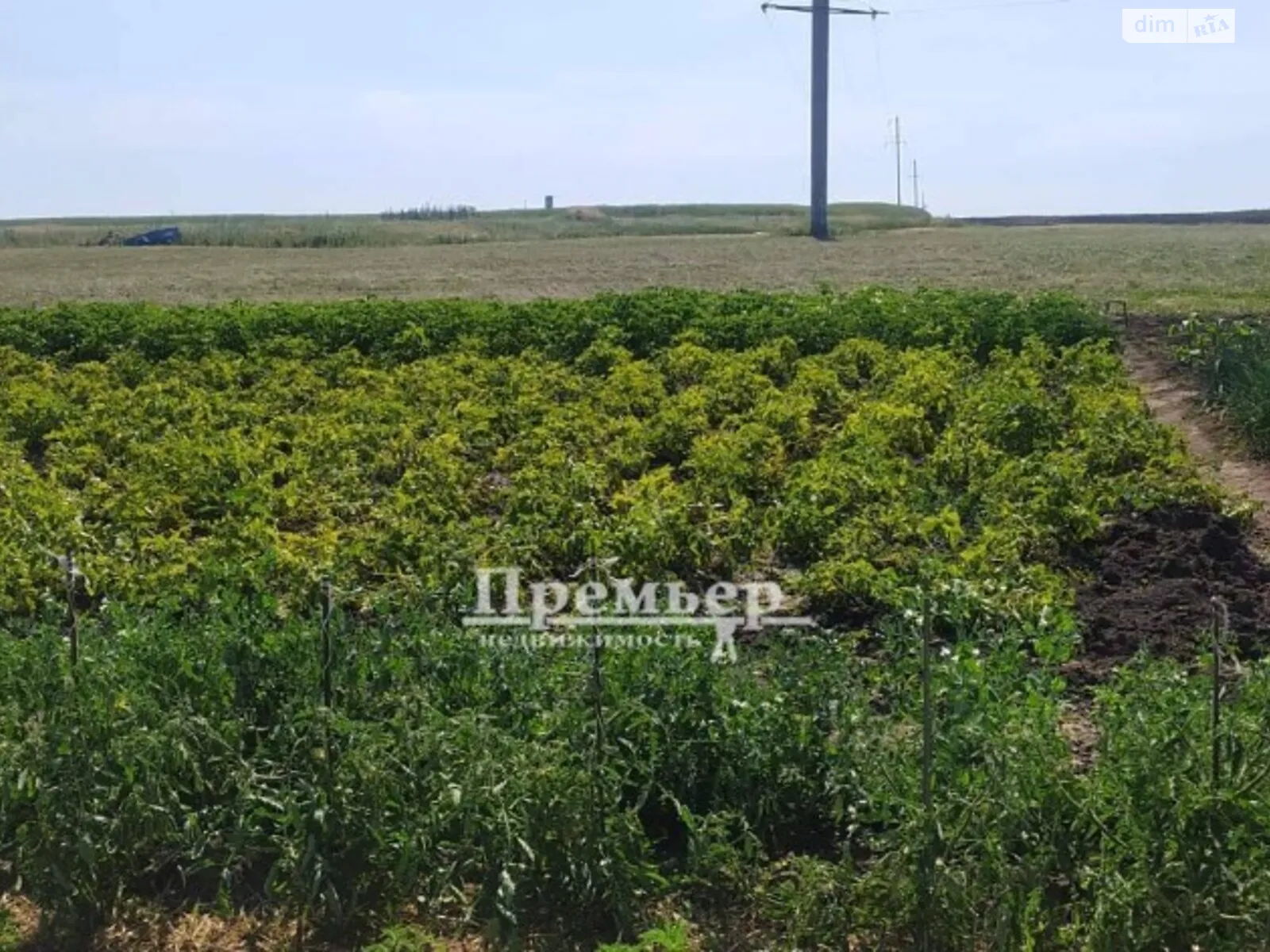 Продається земельна ділянка 25 соток у Одеській області, цена: 25000 $