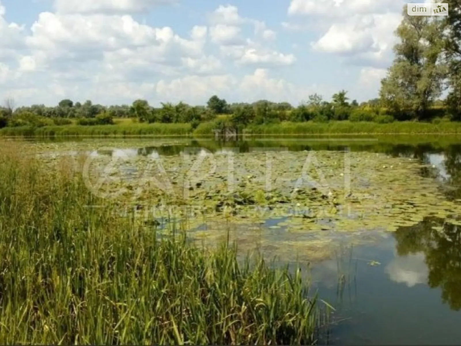 Продается земельный участок 11 соток в Черниговской области - фото 2