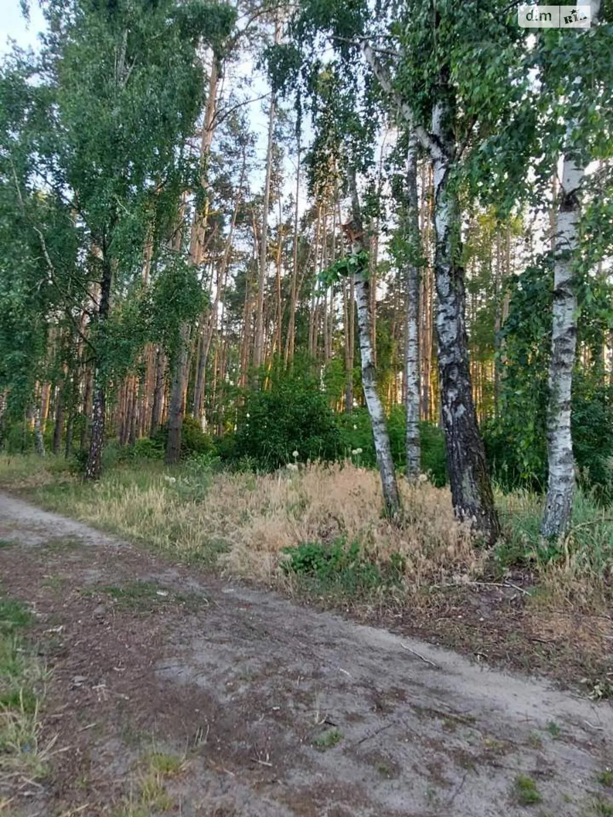 Продается земельный участок 6 соток в Киевской области, цена: 13000 $