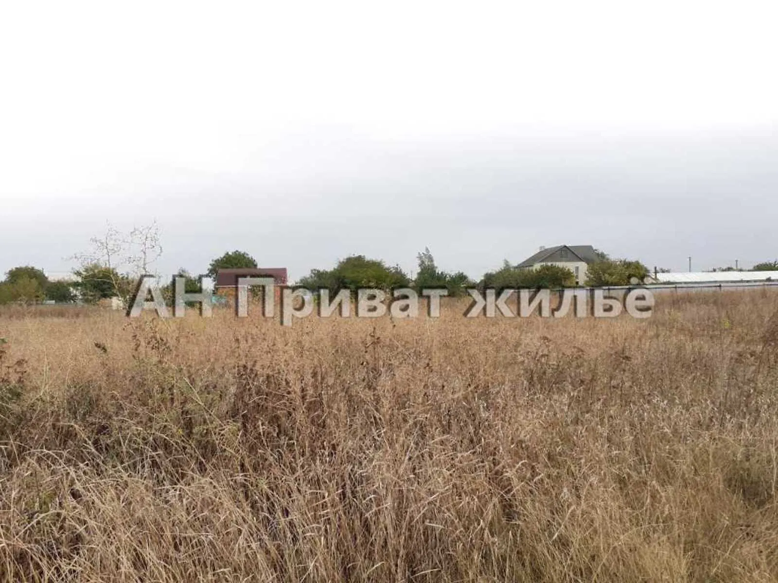 Продається земельна ділянка 16 соток у Полтавській області - фото 3