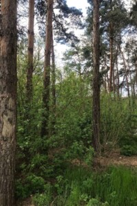 Купить землю под застройку в Кировоградской области